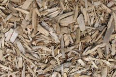 biomass boilers Beckton